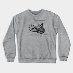 Inner Ear Anatomy Diagram Crewneck Sweatshirt